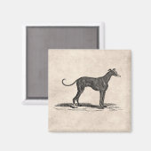  1800s Greyhound Dog Illustration - Honden Magneet (Voorkant / Achterkant)