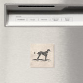  1800s Greyhound Dog Illustration - Honden Magneet (Insitu (Vaatwasser))
