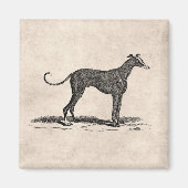  1800s Greyhound Dog Illustration - Honden Magneet (Voorkant)