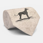1800s Greyhound Dog Illustration - Honden Stropdas (Opgerold)