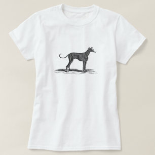  1800s Greyhound Dog Illustration - Honden T-shirt