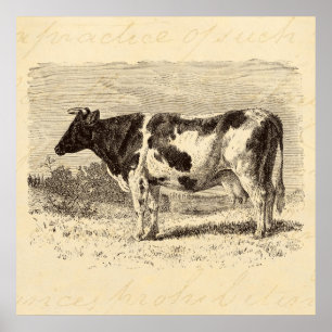  1800s Grote Nederlandse Koe Retro Koeien Geel Poster