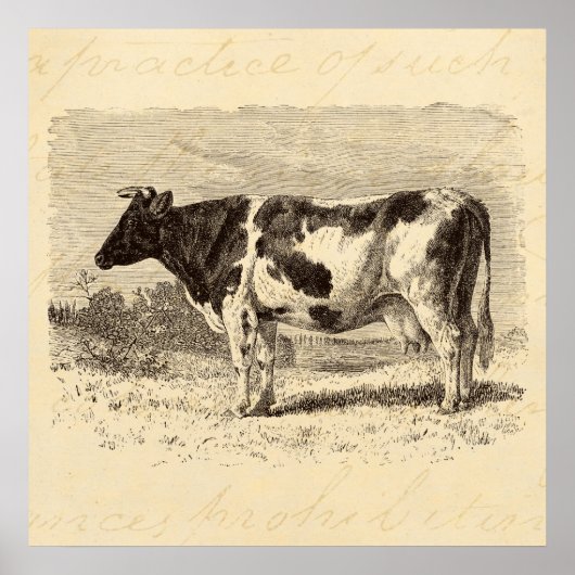 1800s Grote Nederlandse Koe Retro Koeien Geel Poster (Voorkant)