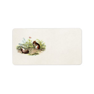  1800s Harvest Mouse Illustration Mice Etiket