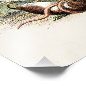  1800s Harvest Mouse Illustration Mice Foto Afdruk (Hoek)