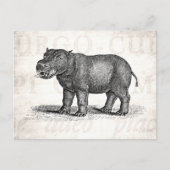  1800s Hippopotamus Illustration - Hippos Briefkaart (Voorkant)