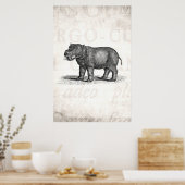  1800s Hippopotamus Illustration - Hippos Poster (Keuken)