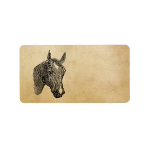 1800s Horse Head Illustration Retro Horses Etiket