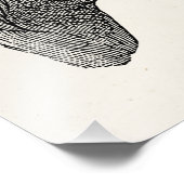  1800s Horse Head Illustration Retro Horses Foto Afdruk (Hoek)