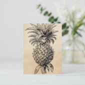  1800s Illustratie anananassen Briefkaart (Staand voorkant)
