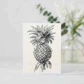  1800s Illustratie anananassen Briefkaart (Staand voorkant)