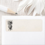  1800s Illustratie anananassen Etiket (Insitu)