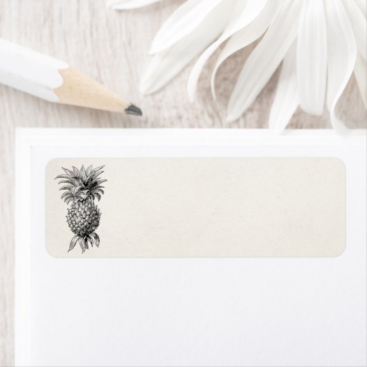  1800s Illustratie anananassen Etiket (Insitu)