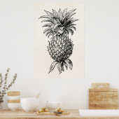  1800s Illustratie anananassen Poster (Keuken)