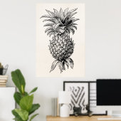 1800s Illustratie anananassen Poster (Thuiskantoor)