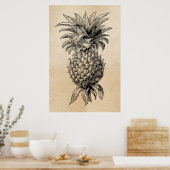1800s Illustratie anananassen Poster (Keuken)