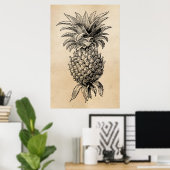 1800s Illustratie anananassen Poster (Thuiskantoor)