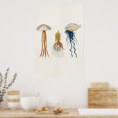  1800s Illustratie kwallen - Jelly Fish Poster (Keuken)