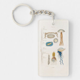  1800s Illustratie kwallen - Jelly Fish Sleutelhanger