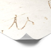 1800s Illustratie van het Hawaiiaanse Zee Paarden Poster (Hoek)