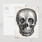 1800s Kull Retro Anatomical Old Drawing Briefkaart (Voorkant / Achterkant)