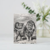  1800s Lion Lionesse Big Cat Illustration Briefkaart (Staand voorkant)