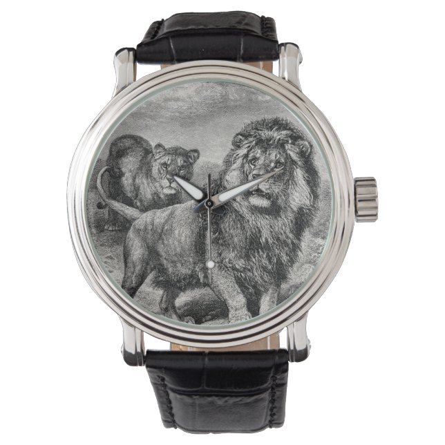  1800s Lion Lionesse Big Cat Illustration Horloge (Voorkant)