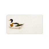  1800s Old Drake Duck Illustration - Ducks Etiket (Voorkant)