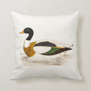 1800s Old Drake Duck Illustration - Ducks Kussen