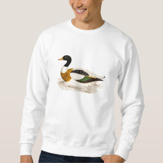  1800s Old Drake Duck Illustration - Ducks Trui