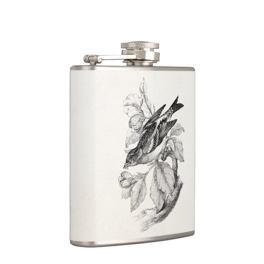  1800s Old Mountain Finch Bird Illustration Heupfles (Rechts)