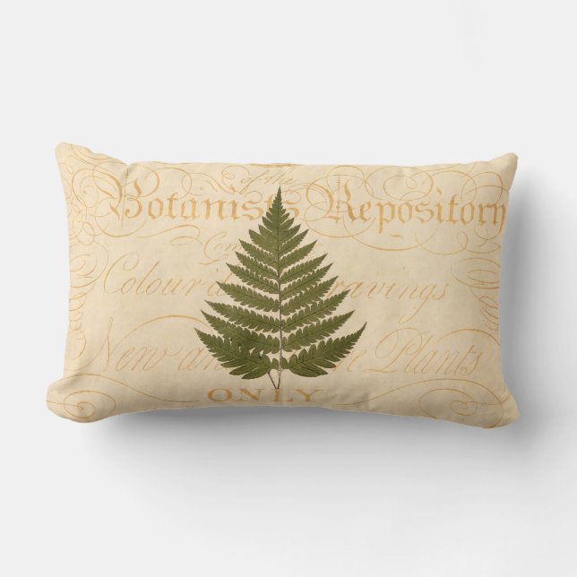  1800s Olive Green Fern Leaf Illustration Kussen (Voorkant)