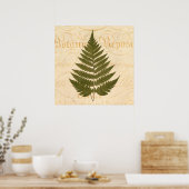 1800s Olive Green Fern Leaf Illustration Poster (Keuken)