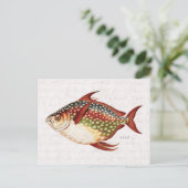  1800s Opah Tropische sportvisserij Briefkaart (Staand voorkant)