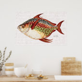  1800s Opah Tropische sportvisserij Poster (Keuken)