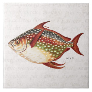 1800s Opah Tropische sportvisserij Tegeltje