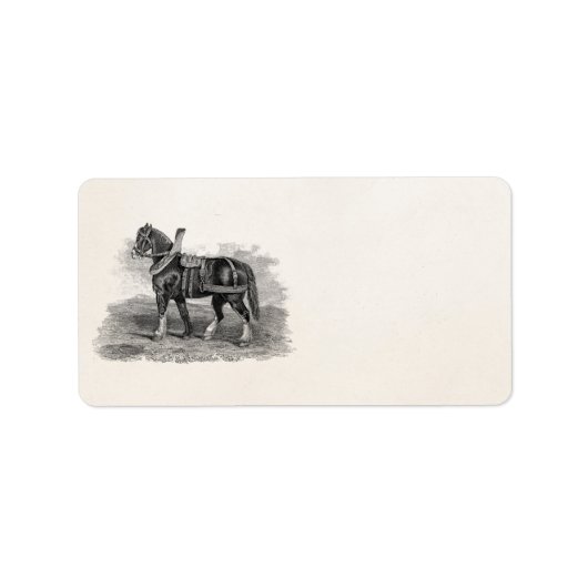1800s Paardenlandbouw Illustratie Paard Etiket (Voorkant)
