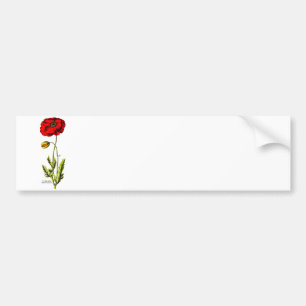  1800s Red Poppy Wild Flower Floral Opium Bumpersticker