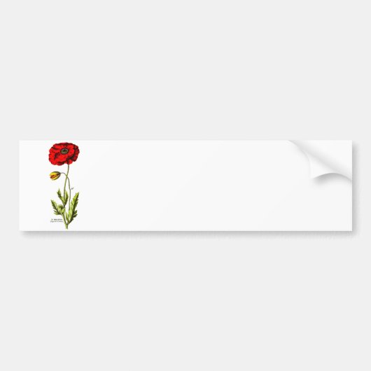  1800s Red Poppy Wild Flower Floral Opium Bumpersticker (Voorkant)
