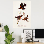  1800s Red Winged Black Birds Illustration Poster (Thuiskantoor)