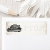 1800s Retro Armadillo Antiek Armadillos Etiket (Insitu)