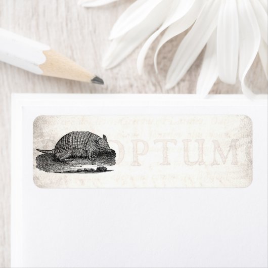  1800s Retro Armadillo Antiek Armadillos Etiket (Insitu)