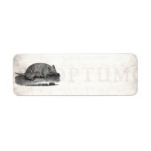  1800s Retro Armadillo Antiek Armadillos Etiket (Voorkant)