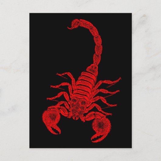1800s Scorpion Illustration Red Scorpions Briefkaart (Voorkant)