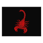 1800s Scorpion Illustration Red Scorpions Foto Afdruk (Voorkant)