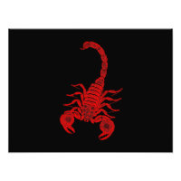  1800s Scorpion Illustration Red Scorpions