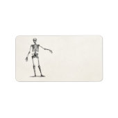  1800s Skelet Retro Anatomy Skeletons Etiket (Voorkant)