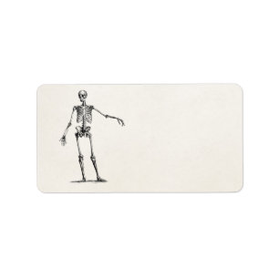  1800s Skelet Retro Anatomy Skeletons Etiket