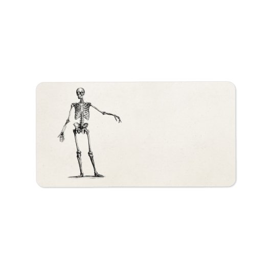  1800s Skelet Retro Anatomy Skeletons Etiket (Voorkant)