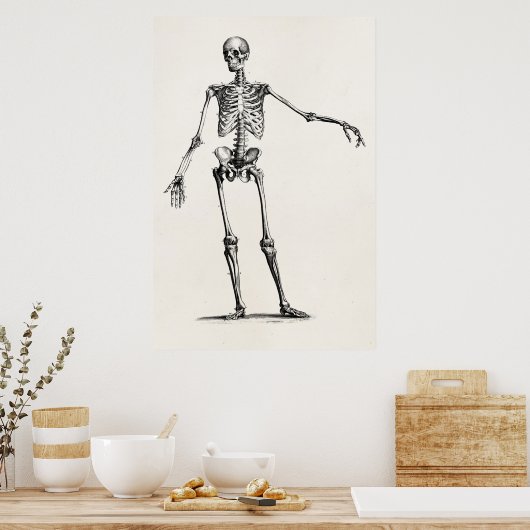  1800s Skelet Retro Anatomy Skeletons Poster (Keuken)